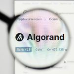 Algorand streicht 25 % der Belegschaft, neuer CTO ernannt