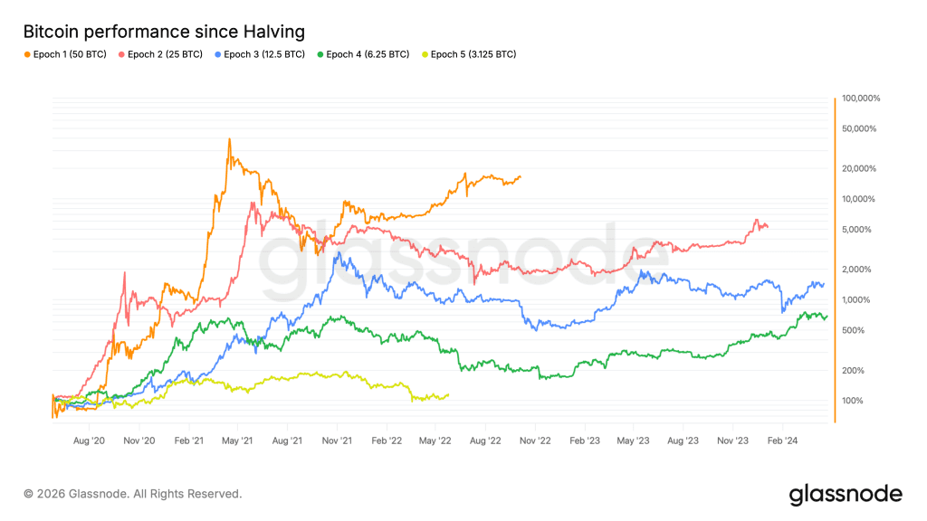 Kursentwicklung w&auml;hrend der Halving-Zyklen, Coinglass