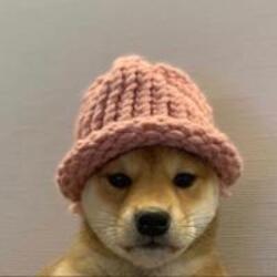 dogwifhat-WIF